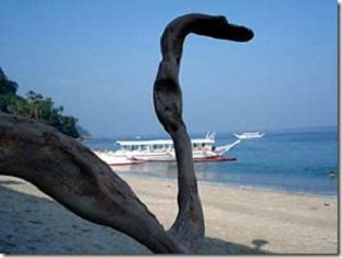 Rem'S Virgin Island Hotel Puerto Galera Exterior foto